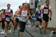 Thumbs/tn_Img_0455.jpg