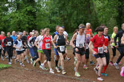 20130517start10km.jpg (120126 Byte)