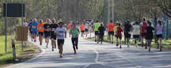 20190407strassenlauf-05.jpg (116845 Byte)