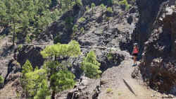 20190514_131626_Transvulcania_Tammy+Jan-Trail.jpg (183555 Byte)